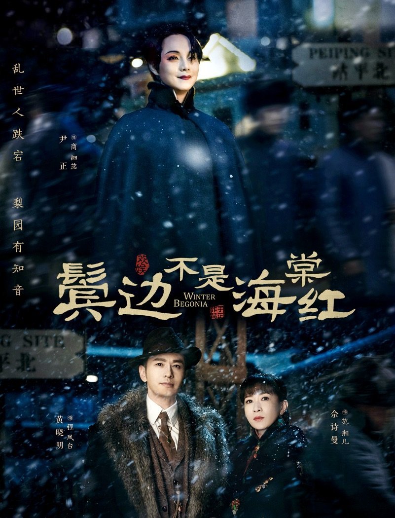 Зимняя бегония - главный постер